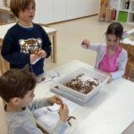 b656a2e4-a95f-45ed-b290-64b101d8e33f