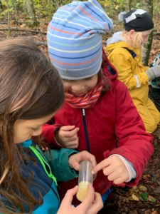 WhatsApp Image 2023-11-03 at 17.28.22 (1)