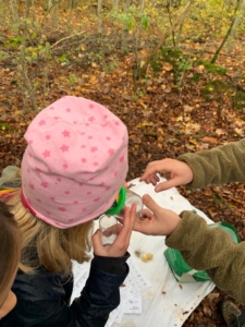 WhatsApp Image 2023-11-03 at 17.28.22 (10)