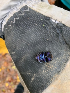 WhatsApp Image 2023-11-03 at 17.28.22 (12)