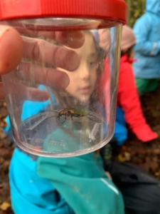 WhatsApp Image 2023-11-03 at 17.28.22 (2)