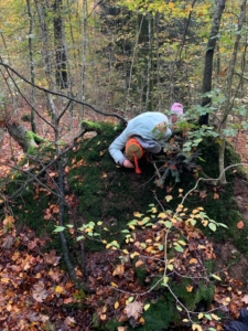 WhatsApp Image 2023-11-03 at 17.28.22 (4)