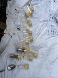 WhatsApp Image 2023-11-24 at 08.01.53 (1)