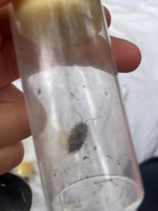 WhatsApp Image 2023-11-24 at 08.01.53 (2)