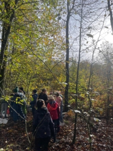 WhatsApp Image 2023-11-24 at 08.01.53