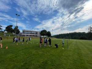 c8acaab5-1dcb-4201-944f-5f3280698aef